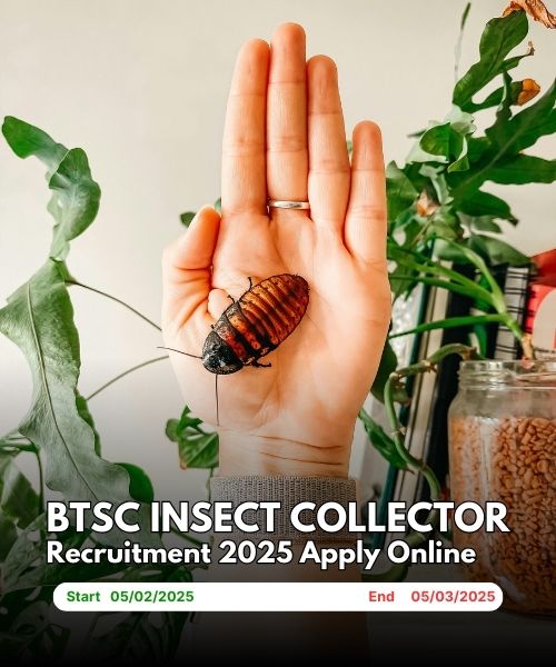 BTSC Insect Collector Recruitment 2025 Apply Online