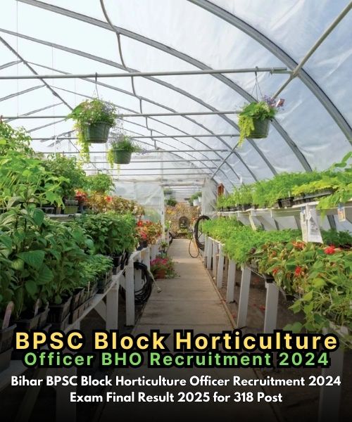 Bihar BPSC Block Horticulture Officer Recruitment 2024 Final Result 2025